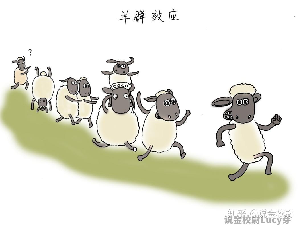 羊群效应是什么意思啊